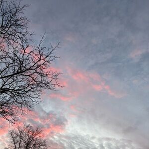 Meet your Posher, Dottie